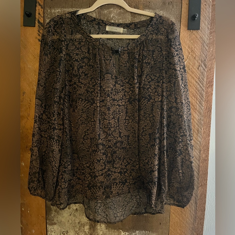 Cluny Women’s Sheer Blouse